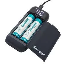 Keeppower PD2 oplaadbare reislader en powerbank voor Li-ion batterijen